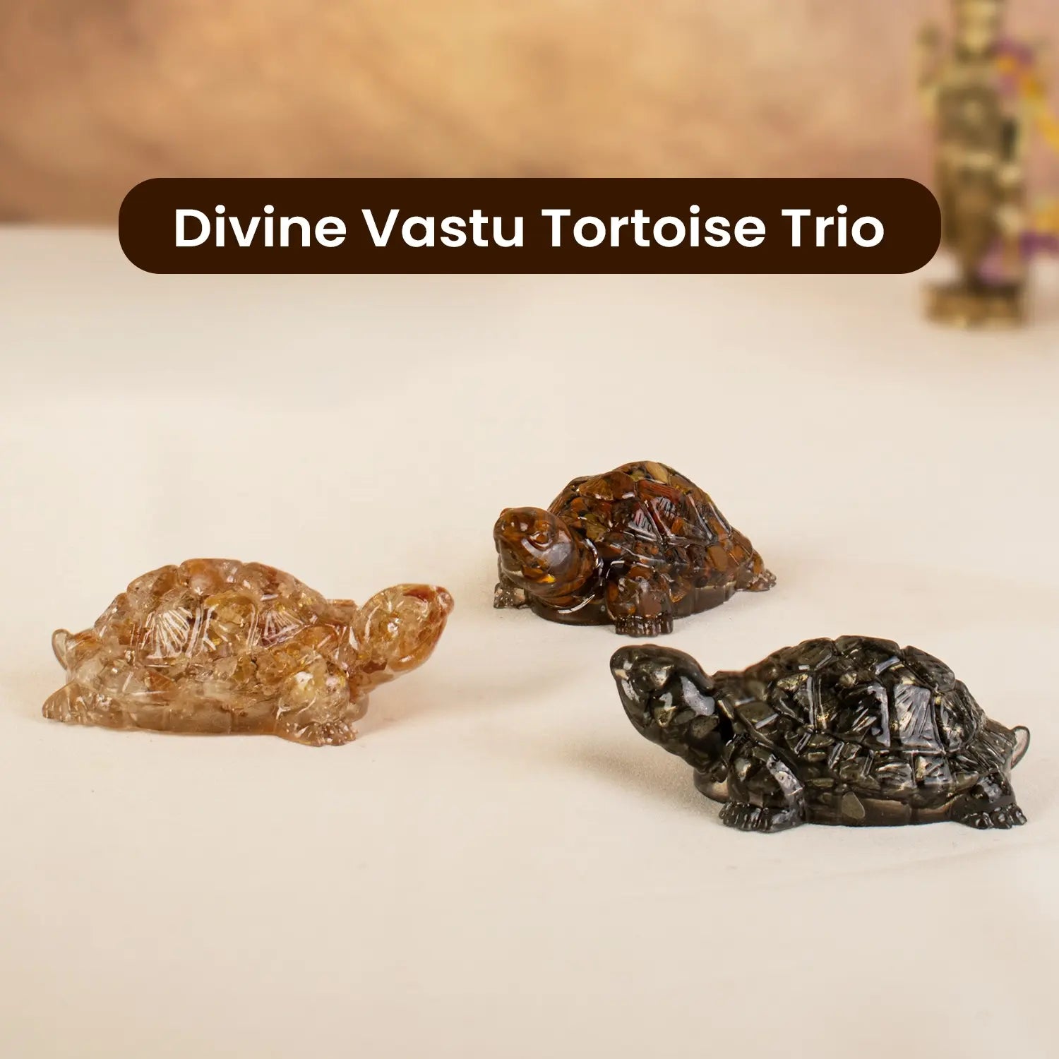 Divine Vastu Tortoise Trio