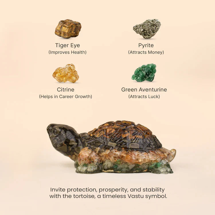 Collector’s Edition Vastu Dhan Yog Tortoise (Big size)