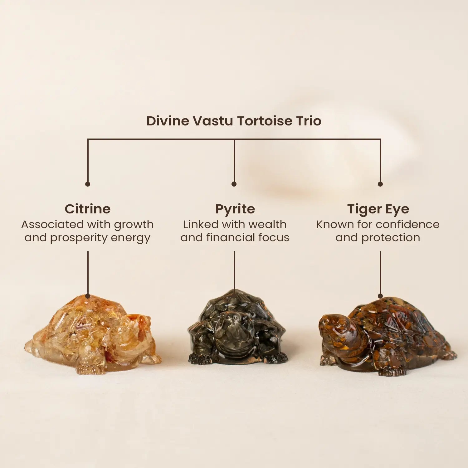 Divine Vastu Tortoise Trio