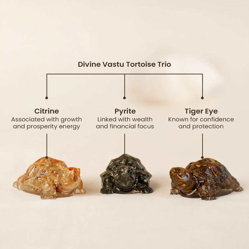 Divine Vastu Tortoise Trio