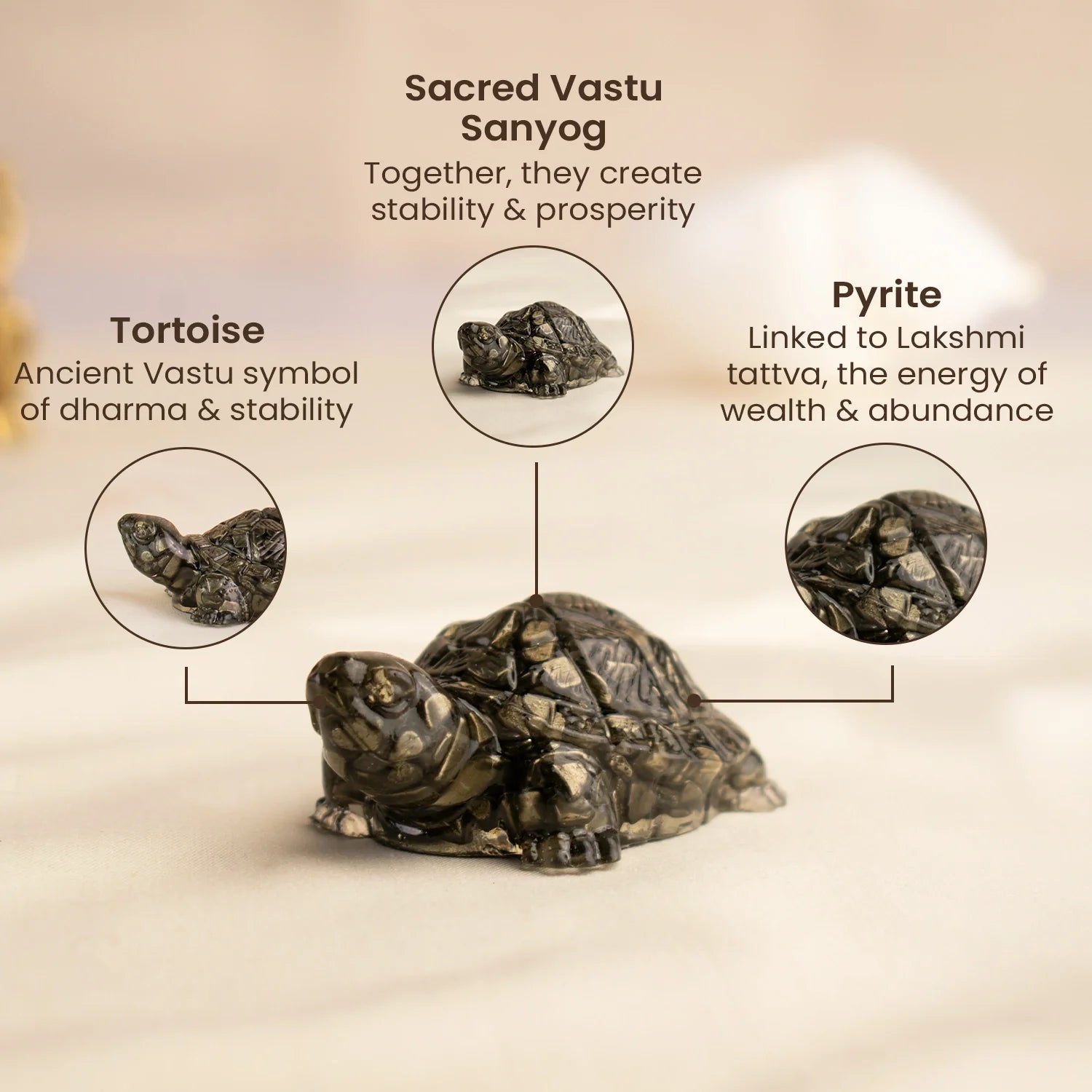 Vastu Pyrite Tortoise (Kachhua)