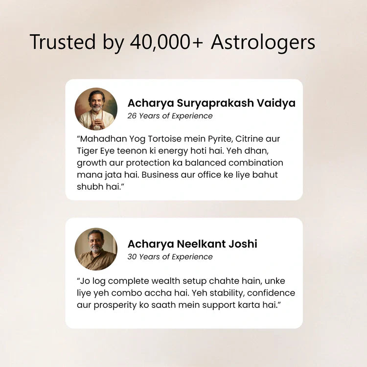 Divine Vastu Tortoise Trio