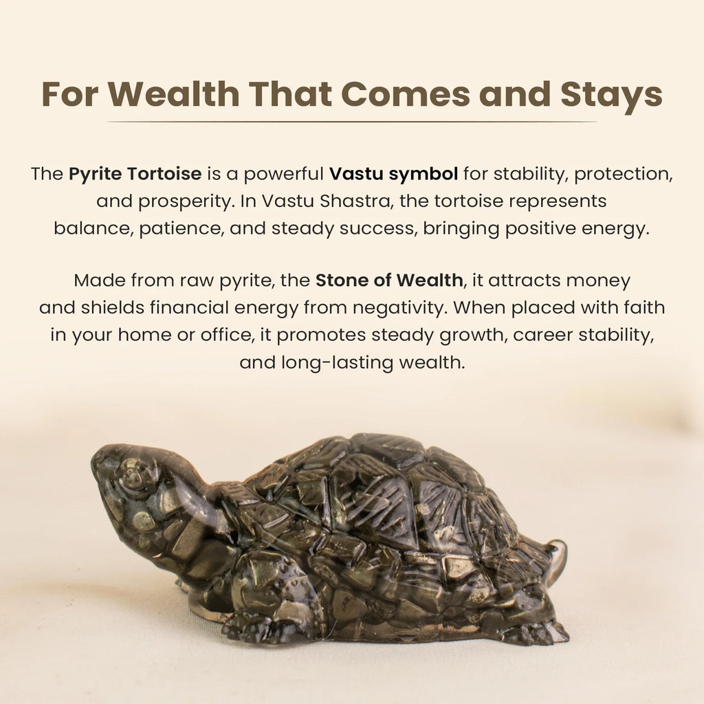 Collector’s Edition Pyrite Tortoise (Kachhua) - Big Size - 8x heavier
