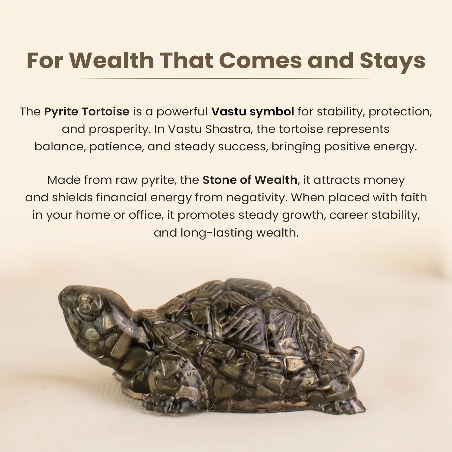 Collector’s Edition Pyrite Tortoise (Kachhua) - Big Size - 8x heavier