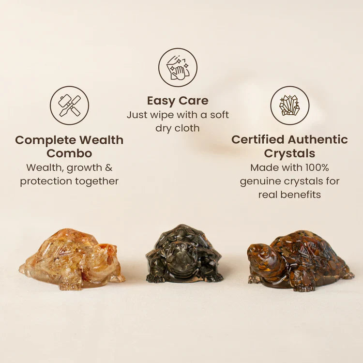Divine Vastu Tortoise Trio