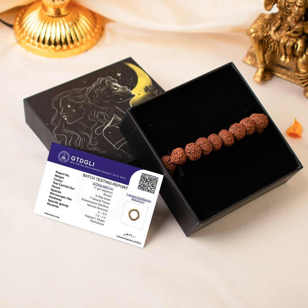 7 Mukhi Rudraksha Bracelet