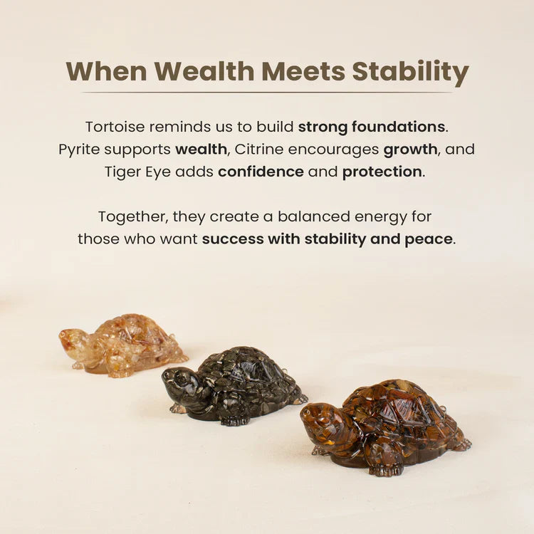 Divine Vastu Tortoise Trio