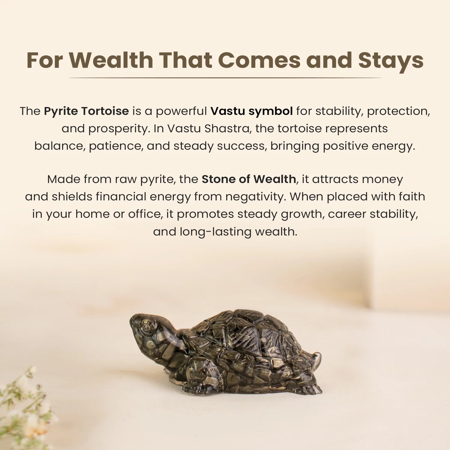 Vastu Pyrite Tortoise (Kachhua)
