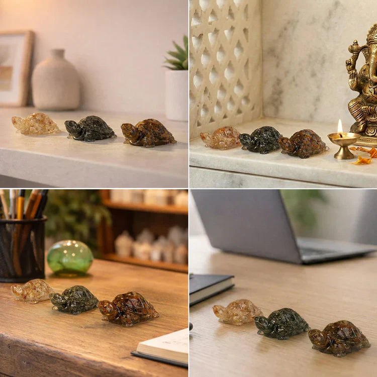 Divine Vastu Tortoise Trio