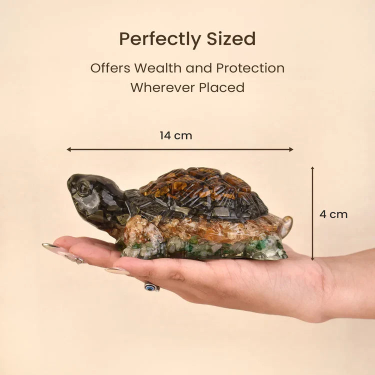 Collector’s Edition Vastu Dhan Yog Tortoise (Big size)