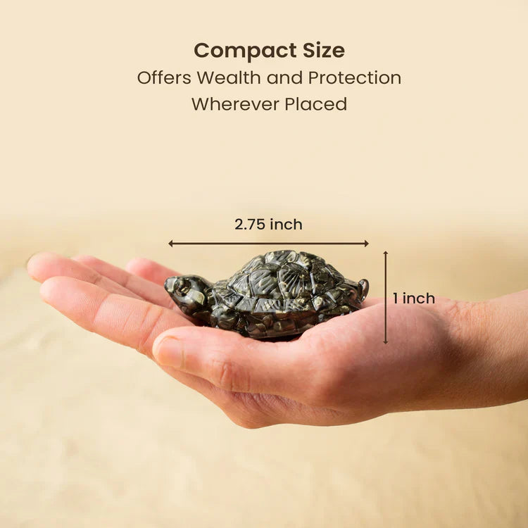 Divine Vastu Tortoise Trio